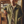 Le Mont St Michel – Khaki Chore Work Coat