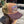 Stetson Camper Trucker Cap — Khaki / Olive / Sand