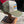 FWS Greaser Joe's Trucker Cap Olive & Beige