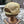 FWS Beach Race Trucker Cap Red, Navy & Beige