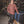 Pike Brothers 1937 Roamer Shirt red flannel