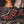 Pike Brothers 1963 Utility Socks Walt Red